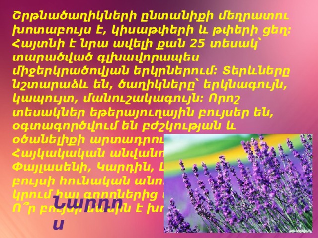 Շրթնածաղիկների ընտանիքի մեղրատու խոտաբույս է, կիսաթփերի և թփերի ցեղ։ Հայտնի է նրա ավելի քան 25 տեսակ՝ տարածված գլխավորապես միջերկրածովյան երկրներում: Տերևները նշտարաձև են, ծաղիկները՝ երկնագույն, կապույտ, մանուշակագույն: Որոշ տեսակներ եթերայուղային բույսեր են, օգտագործվում են բժշկության և օծանելիքի արտադրության մեջ։ Հայկակական անվանումներն են՝ Եպնդեղ, Փայլասենի, Կարդին, Լուացուկ: Այս բույսի հունական անունն է կրում հայ գրողներից մեկը: Ո՞ր բույսի մասին է խոսքը: Նարդոս 