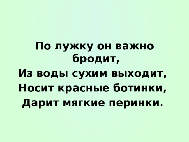 По лужку он важно бродит, Из воды сухим выходит, Носит красные ботинки, Дарит мягкие перинки. 