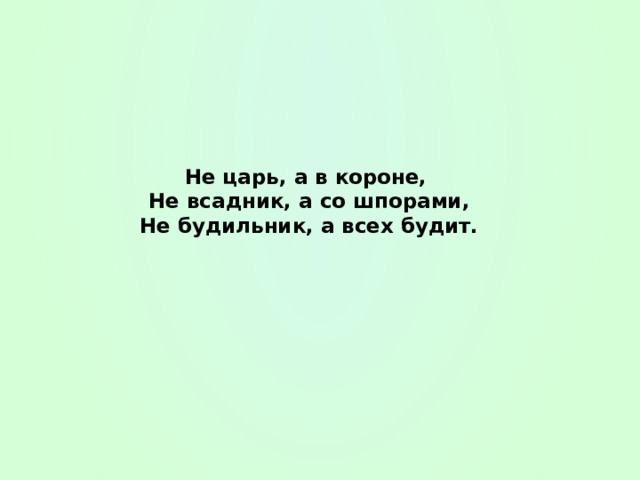 Не царь, а в короне,  Не всадник, а со шпорами,  Не будильник, а всех будит. 