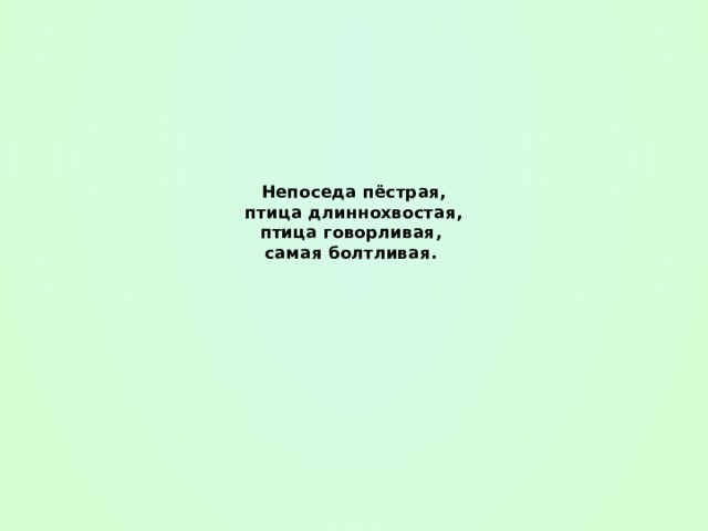 Непоседа пёстрая,  птица длиннохвостая,  птица говорливая,  самая болтливая. 