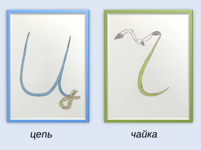 цепь чайка 