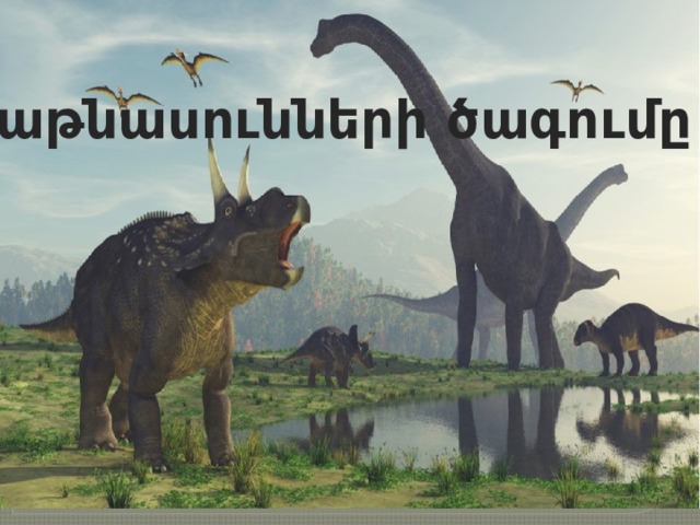 Կաթնասունների ծագումը 