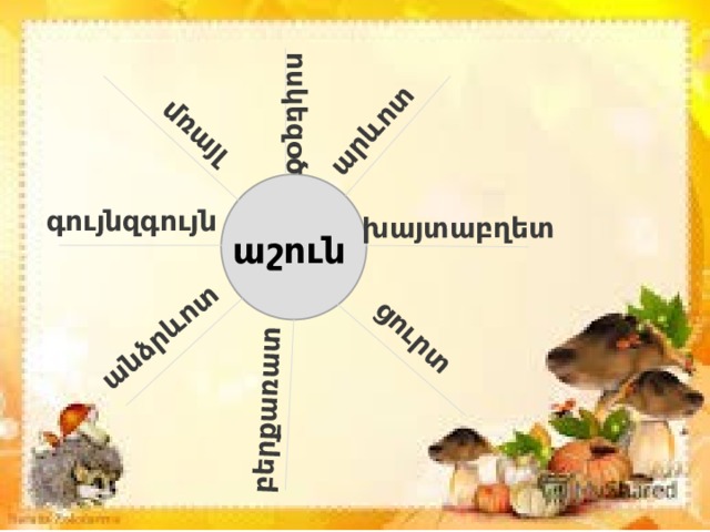 մռայլ արևոտ անձրևոտ ցուրտ բերքառատ ոսկեզօծ գույնզգույն խայտաբղետ աշուն  