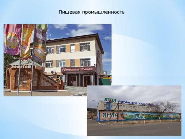 Пищевая промышленность 