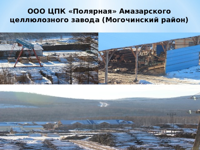 ООО ЦПК «Полярная» Амазарского целлюлозного завода (Могочинский район) 