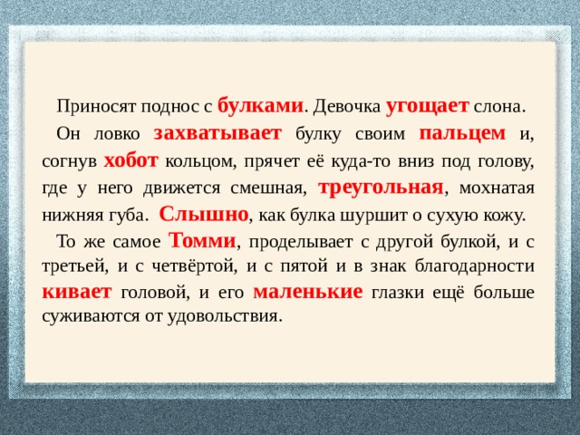 Приносят поднос с булками . Девочка угощает слона. Он ловко захватывает булку своим пальцем и, согнув хобот кольцом, прячет её куда-то вниз под голову, где у него движется смешная, треугольная , мохнатая нижняя губа. Слышно , как булка шуршит о сухую кожу. То же самое Томми , проделывает с другой булкой, и с третьей, и с четвёртой, и с пятой и в знак благодарности кивает головой, и его маленькие глазки ещё больше суживаются от удовольствия. 