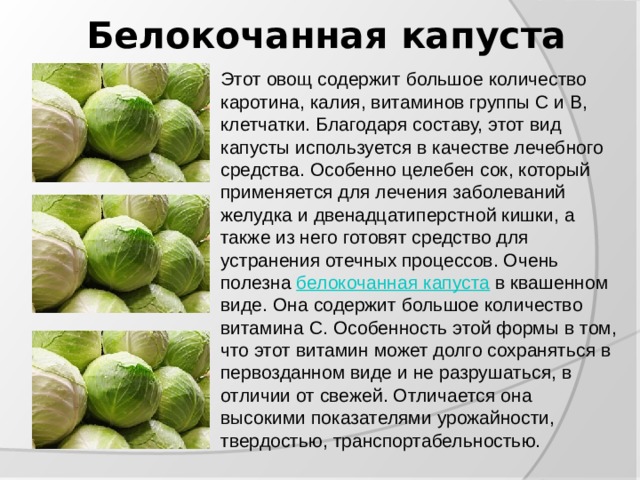 Белокочанная капуста Этот овощ содержит большое количество каротина, калия, витаминов группы С и В, клетчатки. Благодаря составу, этот вид капусты используется в качестве лечебного средства. Особенно целебен сок, который применяется для лечения заболеваний желудка и двенадцатиперстной кишки, а также из него готовят средство для устранения отечных процессов. Очень полезна  белокочанная капуста  в квашенном виде. Она содержит большое количество витамина С. Особенность этой формы в том, что этот витамин может долго сохраняться в первозданном виде и не разрушаться, в отличии от свежей. Отличается она высокими показателями урожайности, твердостью, транспортабельностью. 