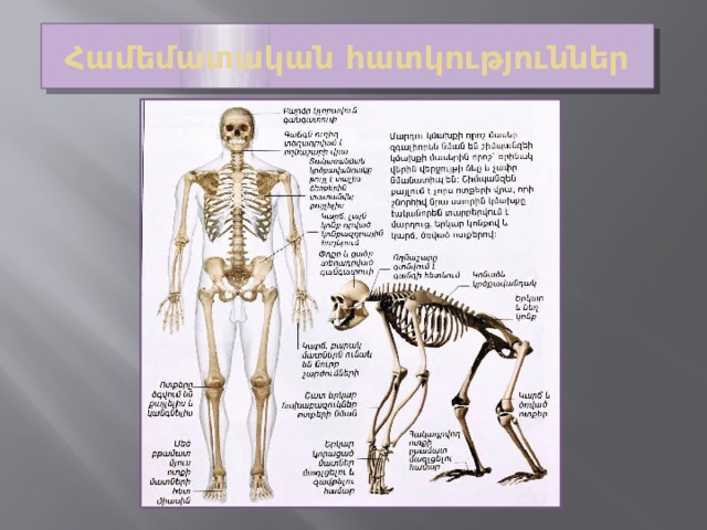 Համեմատական հատկություններ 