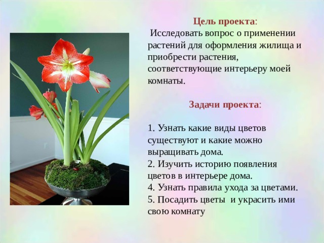 Цель проекта :  Исследовать вопрос о применении растений для оформления жилища и приобрести растения, соответствующие интерьеру моей комнаты. Задачи проекта :   1. Узнать какие виды цветов существуют и какие можно выращивать дома. 2. Изучить историю появления цветов в интерьере дома. 4. Узнать правила ухода за цветами. 5. Посадить цветы и украсить ими свою комнату 