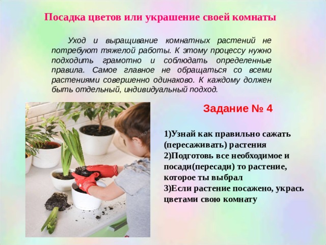 Посадка цветов или украшение своей комнаты Уход и выращивание комнатных растений не потребуют тяжелой работы. К этому процессу нужно подходить грамотно и соблюдать определенные правила. Самое главное не обращаться со всеми растениями совершенно одинаково. К каждому должен быть отдельный, индивидуальный подход. Задание № 4  Узнай как правильно сажать (пересаживать) растения Подготовь все необходимое и посади(пересади) то растение, которое ты выбрал Если растение посажено, укрась цветами свою комнату 
