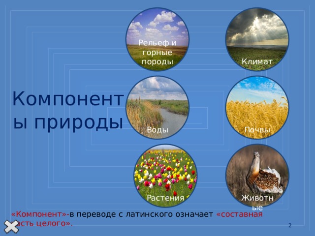 Рельеф и горные породы Климат Компоненты природы Почвы Воды Растения Животные Окружающая нас природа состоит из частей, или, как их еще называют, компонентов. К природным компонентам относятся рельеф и горные породы, климат, воды, почвы, растения, животные «Компонент»- в переводе с латинского означает «составная часть целого».   