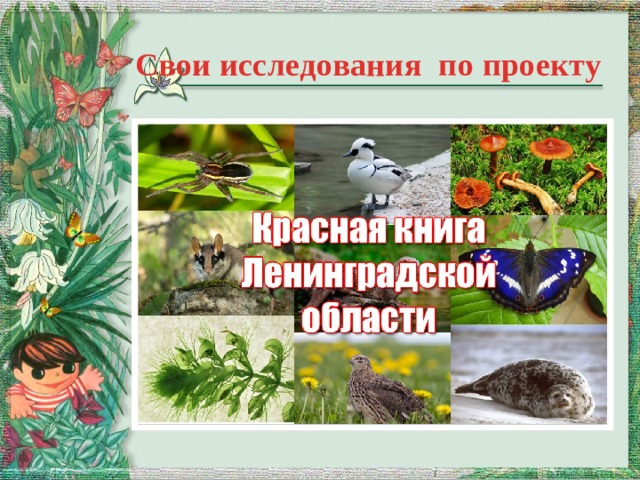 Свои исследования по проекту  