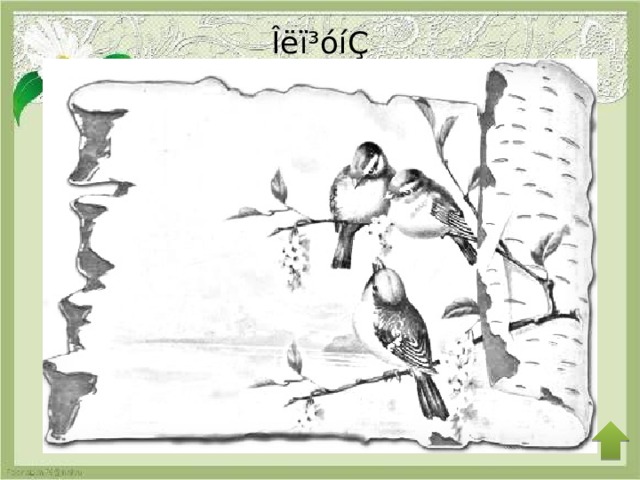 Îëï³óíÇ   