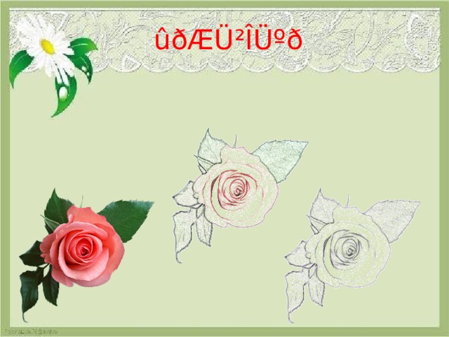 û ðÆÜ²ÎÜºð 