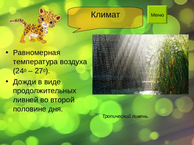 Климат Равномерная температура воздуха (24 0 – 27 0 ). Дожди в виде продолжительных ливней во второй половине дня. Тропический ливень. 