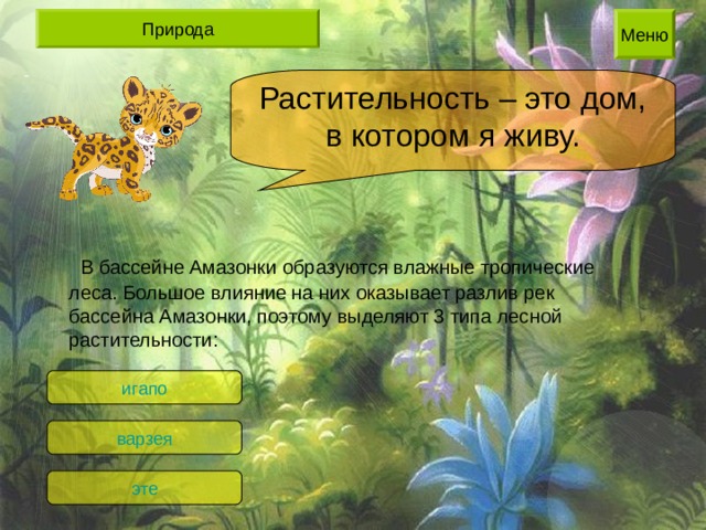 Растительность – это дом, в котором я живу.  В бассейне Амазонки образуются влажные тропические леса. Большое влияние на них оказывает разлив рек бассейна Амазонки, поэтому выделяют 3 типа лесной растительности: игапо варзея эте 