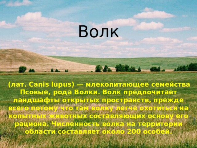 Волк   (лат. Canis lupus) — млекопитающее семейства Псовые, рода Волки. Волк предпочитает ландшафты открытых пространств, прежде всего потому что там волку легче охотиться на копытных животных составляющих основу его рациона. Численность волка на территории области составляет около 200 особей.  