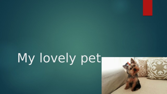My lovely pet 