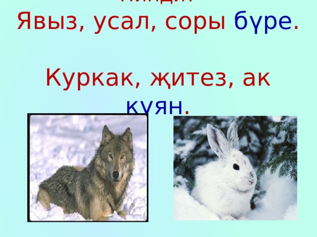 Нинди?  Явыз, усал, соры бүре .  Куркак, җитез, ак куян .   