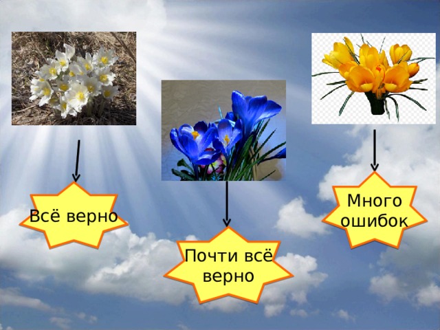 Много ошибок Всё верно Почти всё верно 