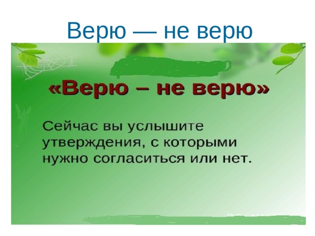  Верю — не верю 