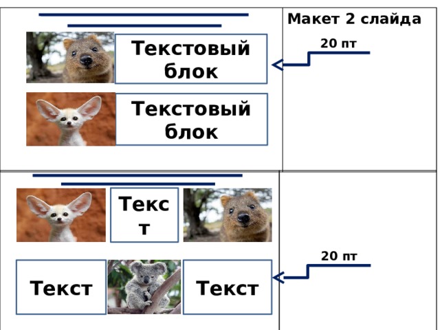 Макет 2 слайда 20 пт Текстовый блок Текстовый блок  Текст 20 пт Текст Текст 