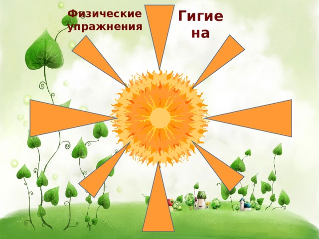 Гигиена Физические упражнения 
