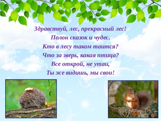 Здравствуй, лес, прекрасный лес! Полон сказок и чудес. Кто в лесу таком таится? Что за зверь, какая птица? Все открой, не утаи, Ты же видишь, мы свои! 