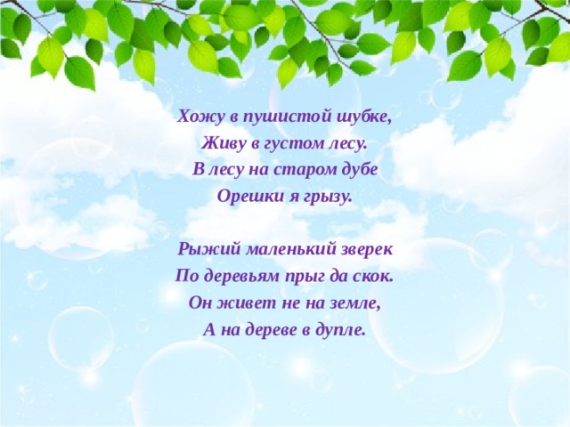 Хожу в пушистой шубке, Живу в густом лесу. В лесу на старом дубе Орешки я грызу.  Рыжий маленький зверек По деревьям прыг да скок. Он живет не на земле, А на дереве в дупле.  