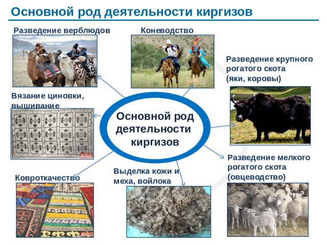 Основной род деятельности киргизов Коневодство Разведение  верблюдов Разведение крупного рогатого скота (яки, коровы)  Вязание циновки, вышивание Основной род деятельности киргизов Разведение мелкого рогатого скота (овцеводство)  Выделка кожи и меха, войлока Ковроткачество  