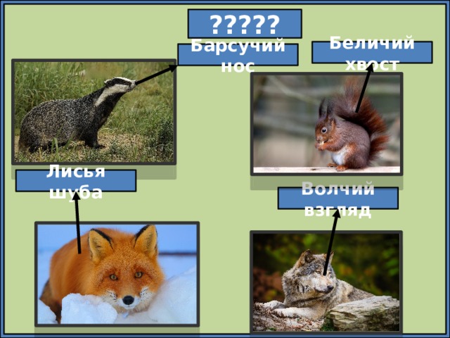 ????? Беличий хвост Барсучий нос Лисья шуба Волчий взгляд 