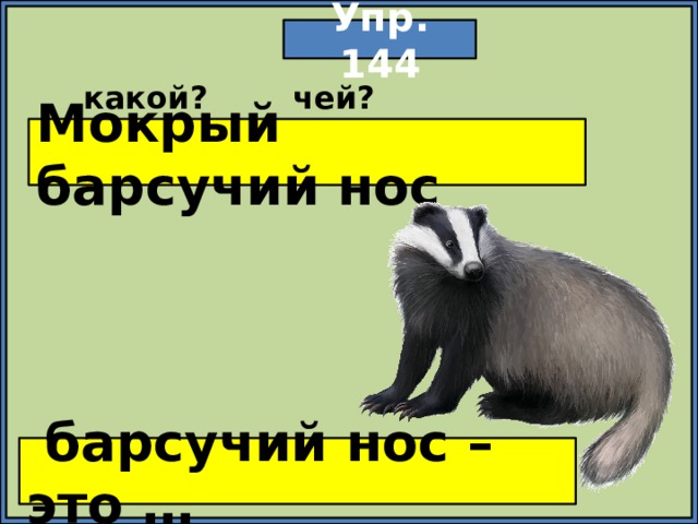 Упр. 144 какой? чей? Мокрый барсучий нос  барсучий нос – это … 