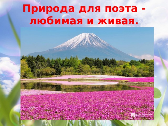Природа для поэта - любимая и живая. 
