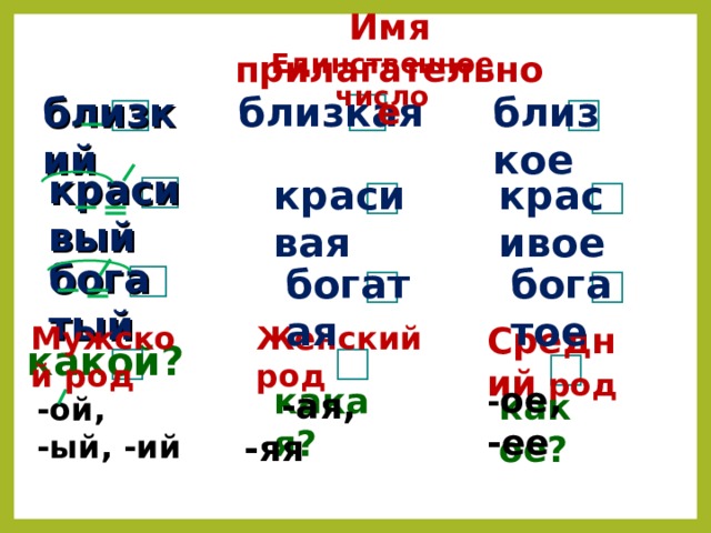 Имя прилагательное Единственное число близкое близкая близкий    красивый  красивая красивое богатый богатое богатая Мужской род Женский род Средний род  какая? какой?  какое? ский - ое, -ее  -ая, -яя -ой, -ый, -ий  