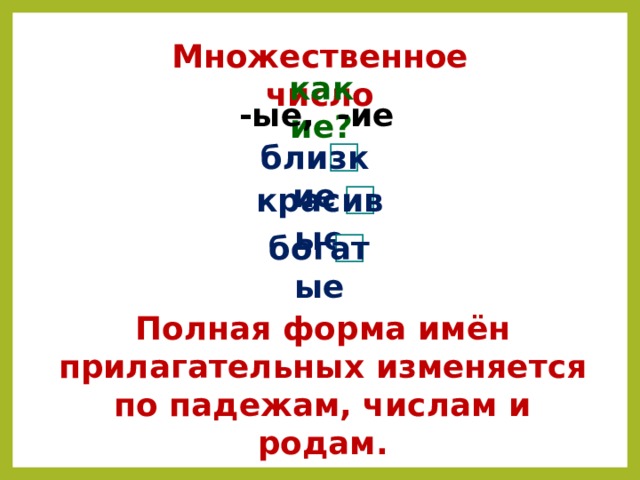 Множественное число какие? -ые, -ие близкие красивые богатые Полная форма имён прилагательных изменяется по падежам, числам и родам. 