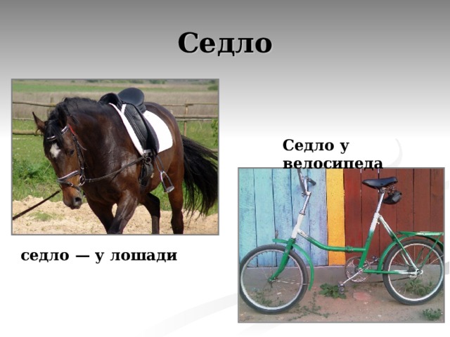 Седло Седло у велосипеда седло — у лошади 