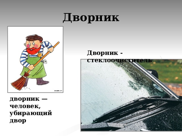 Дворник Дворник - стеклоочиститель дворник — человек, убирающий двор 