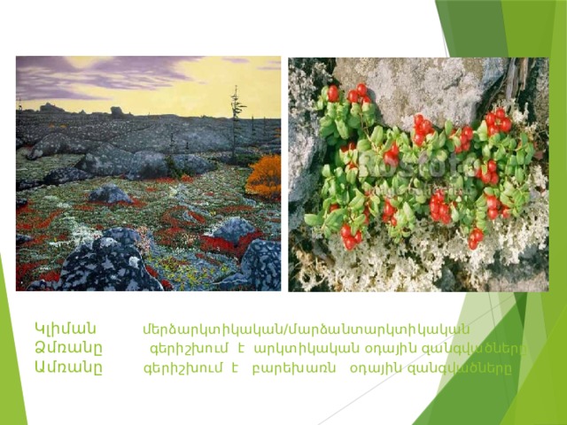 Կլիման մերձարկտիկական/մարձանտարկտիկական   Ձմռանը գերիշխում է արկտիկական օդային զանգվածները  Ամռանը գերիշխում է բարեխառն օդային զանգվածները 