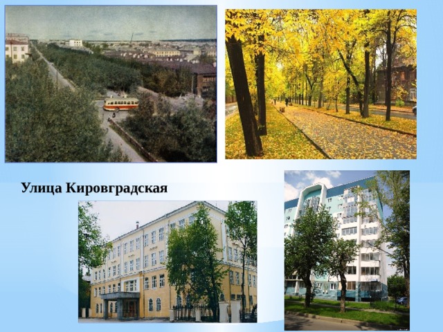 Улица Кировградская 
