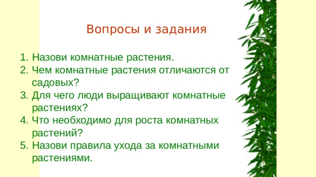 Вопросы и задания Назови комнатные растения. Чем комнатные растения отличаются от садовых? Для чего люди выращивают комнатные растениях? Что необходимо для роста комнатных растений? Назови правила ухода за комнатными растениями. 