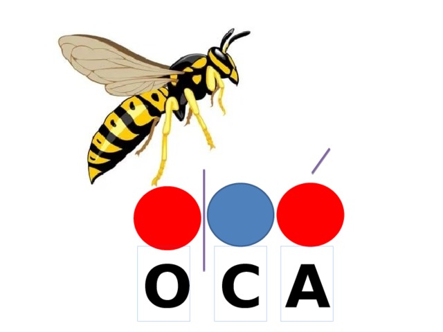 О С А 