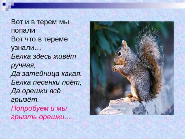 Вот и в терем мы попали  Вот что в тереме узнали…  Белка здесь живёт ручная,  Да затейница какая.  Белка песенки поёт,  Да орешки всё грызёт.  Попробуем и мы грызть орешки… 