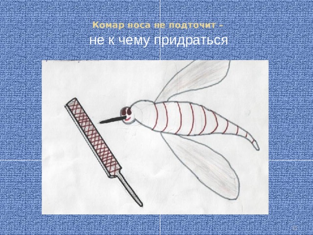 Комар носа не подточит –   не к чему придраться