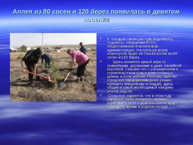 Аллея из 80 сосен и 120 берез появилась в девятом поселке   К  посадке саженцев присоединились студенты, сотрудники ВГСЧ, общественники и поселковая администрация. На пустыре возле новостроек будет не только аллея из 80 сосен и 120 берез.      Здесь появится целый парк со скамейками, дорожками и даже хоккейной коробкой. Связано это с расширением и строительством новых многоэтажных домов  в этом районе. Поэтому один из городских предпринимателей решил проявить инициативу и создать здесь общий и такой необходимый каждому уголок отдыха.  Сельчане надеются, что в этом году заветный сквер появится,  а значит, взрослые и дети с удовольствием будут проводить время в родном городе. 