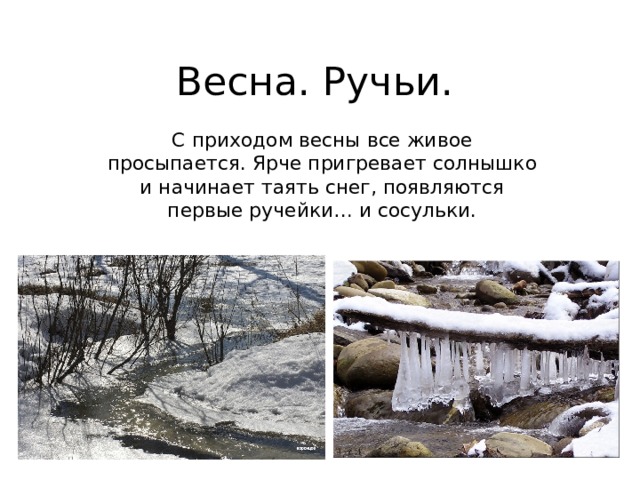 Весна. Ручьи. С приходом весны все живое просыпается. Ярче пригревает солнышко и начинает таять снег, появляются первые ручейки… и сосульки. 