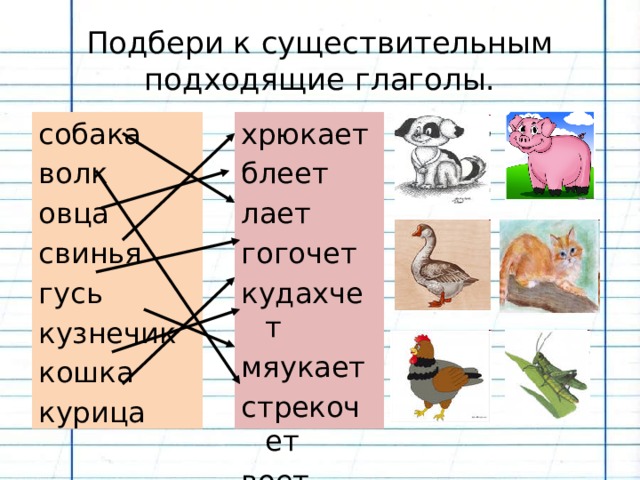 Подбери к существительным подходящие глаголы. собака хрюкает блеет волк лает овца гогочет свинья кудахчет гусь кузнечик мяукает стрекочет кошка курица воет 