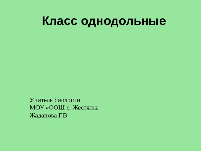 Класс однодольные Учитель биологии МОУ «ООШ с. Жестянка Жаданова Г.В. 