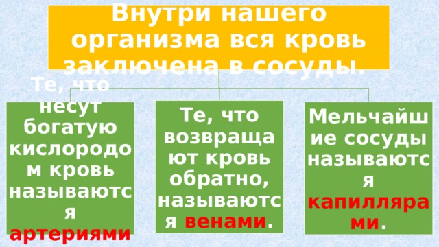 Внутри нашего организма вся кровь заключена в сосуды. Те, что возвращают кровь обратно, называются венами . Те, что несут богатую кислородом кровь называются артериями . Мельчайшие сосуды называются капиллярами . 