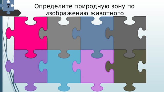 Определите природную зону по изображению животного 7 