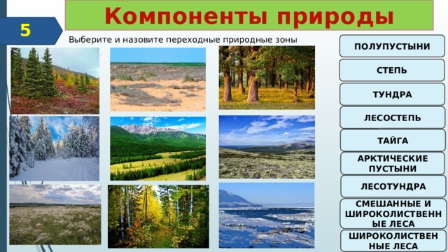 Компоненты природы Районирование 5 Выберите и назовите переходные природные зоны ПОЛУПУСТЫНИ СТЕПЬ ТУНДРА ЛЕСОСТЕПЬ ТАЙГА АРКТИЧЕСКИЕ ПУСТЫНИ ЛЕСОТУНДРА СМЕШАННЫЕ И ШИРОКОЛИСТВЕННЫЕ ЛЕСА ШИРОКОЛИСТВЕННЫЕ ЛЕСА  